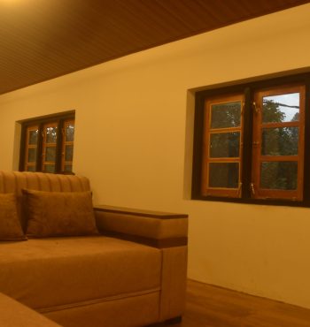 Patrius lobby windows